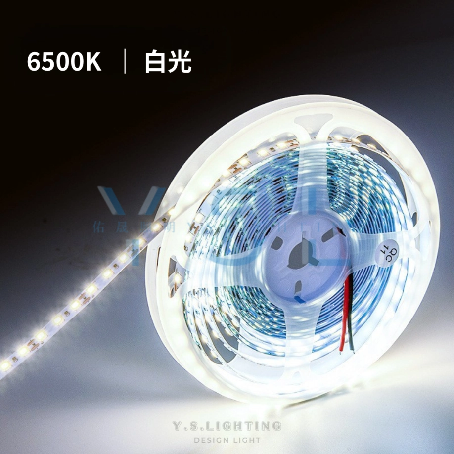 2835(雙排珠) | 15mm寬-24V燈帶