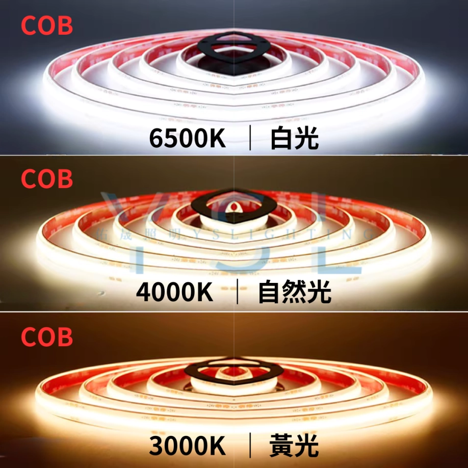 COB(基礎款) ｜ 8mm寬-24V燈帶