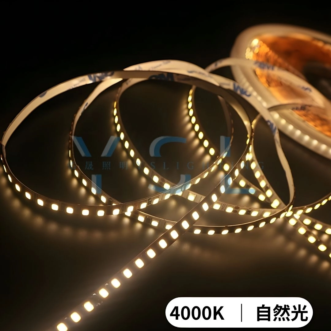 2835(高密度) ｜ 10mm寬-24V燈帶