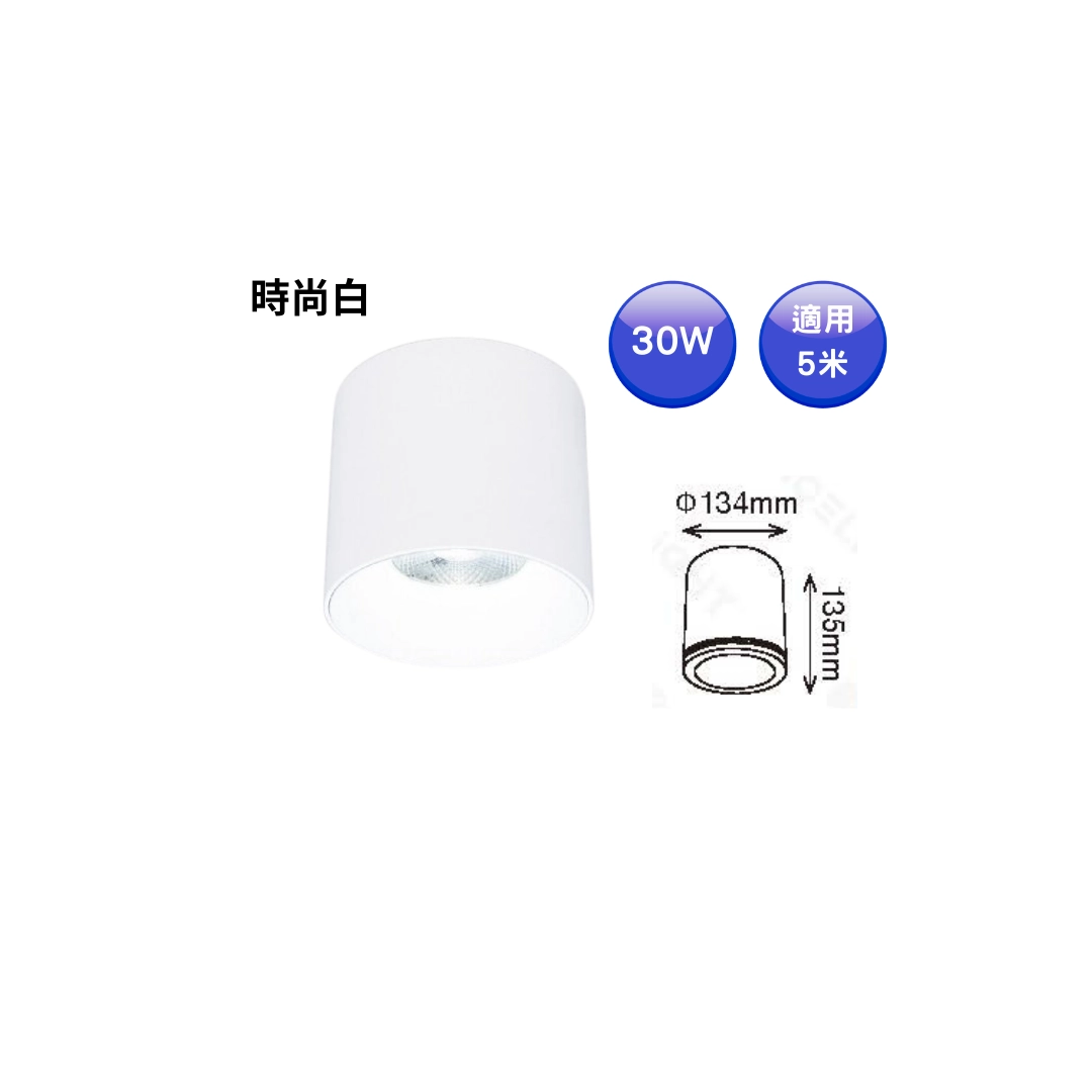 10W、20W、30W、40W|神盾吸頂筒燈