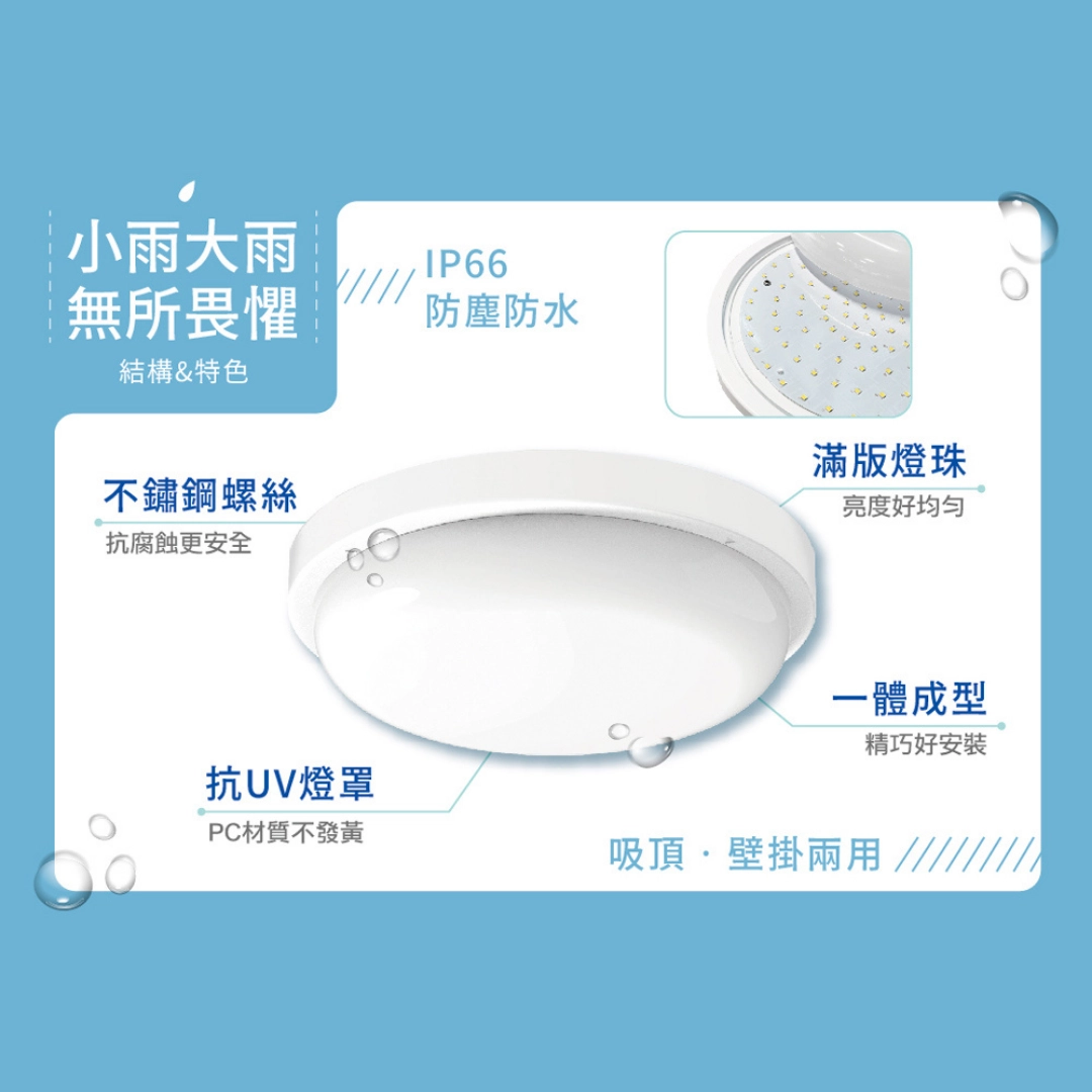 16W、24W|IP66防水防塵白鯨-圓吸壁燈