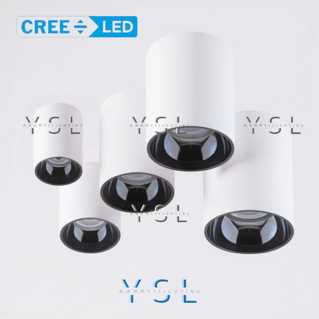 9W、13W、20W、25W、30W、40W │ IP55金屬內縮款-吸頂筒燈