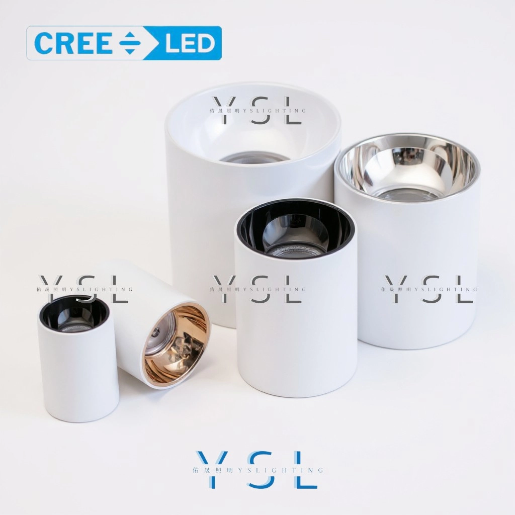 9W、13W、20W、25W、30W、40W │ IP55金屬內縮款-吸頂筒燈