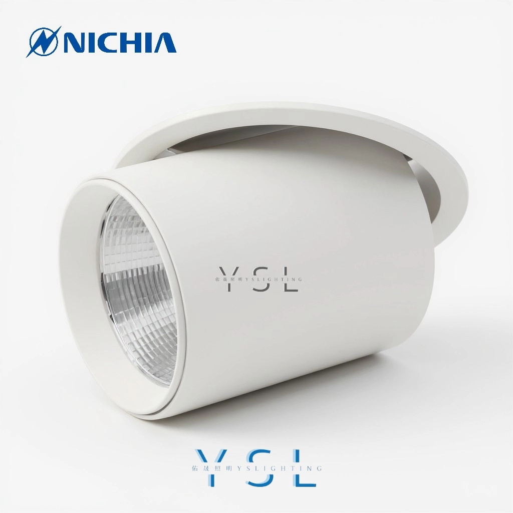 12CM │ 伸縮崁燈