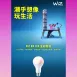 WiZ │8W全彩燈泡