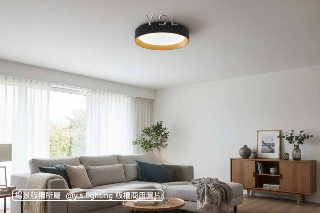 木熙環景吸頂燈-2款
