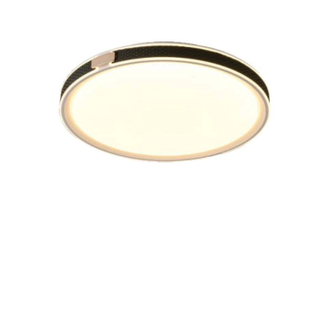 皮環朗月吸頂燈-2款