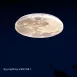 Moonscape吸頂燈-3款