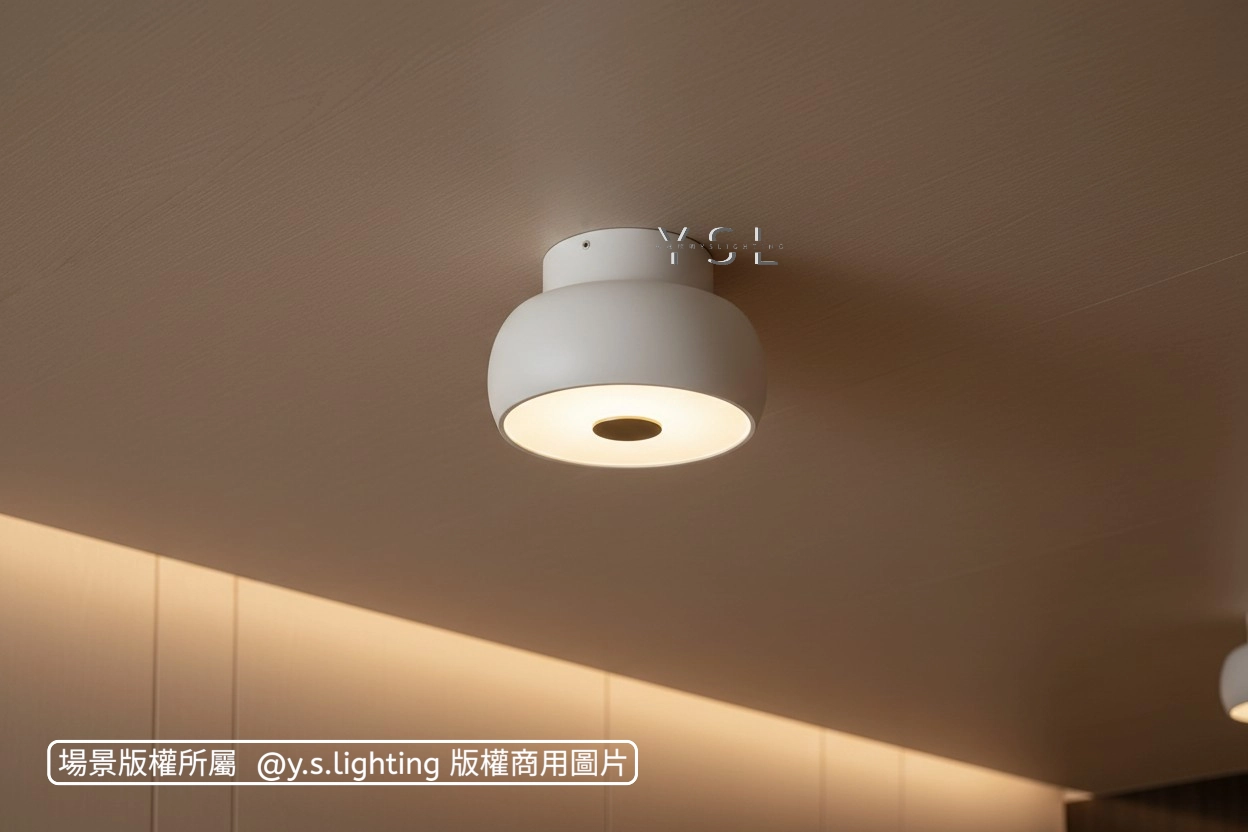 Ambit吸頂燈-2款