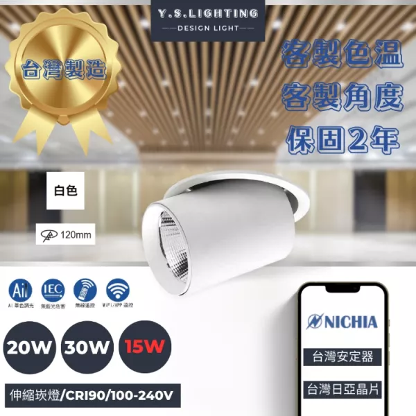 12CM │ 伸縮崁燈