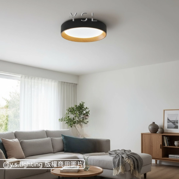 木熙環景吸頂燈-2款