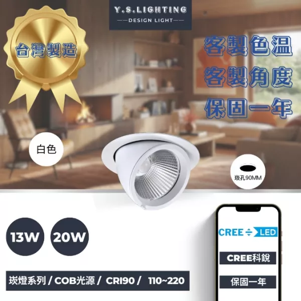 9CM │ 商用下拉式投射型-崁燈