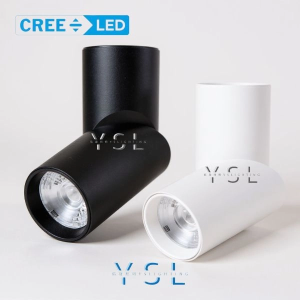 15W │ 特殊造型款-吸頂筒燈