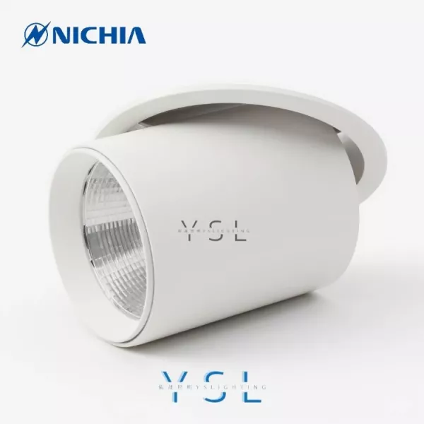 12CM │ 伸縮崁燈